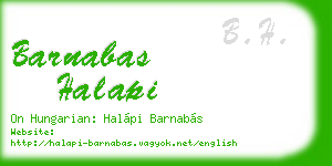 barnabas halapi business card